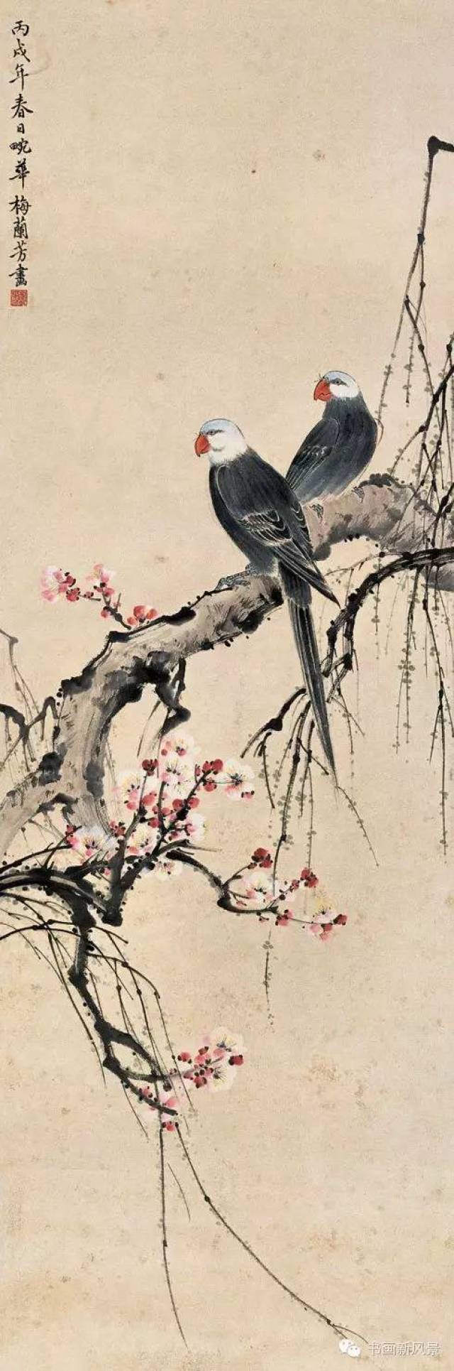 梅兰芳的这30幅花鸟、20幅书法！绝美！值得收藏！_搜狐网