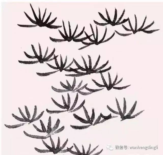 松针的,松针土,松针树_大山谷图库