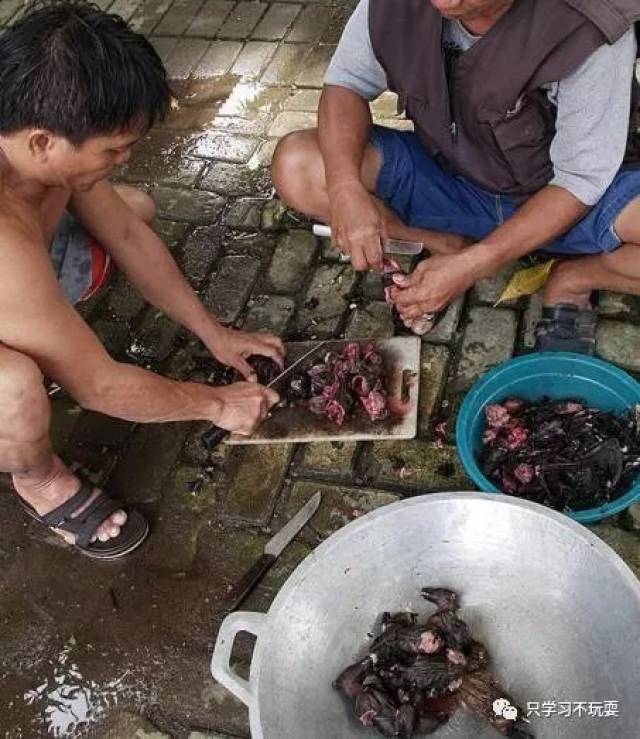 印尼狠菜蝙蝠汤,端上来我就吓尿了