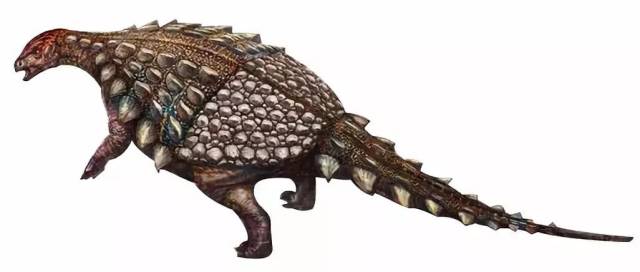 天台越龙来自浙江的三种植食性恐龙:天台越龙,杨岩东阳盾龙和中国缙云