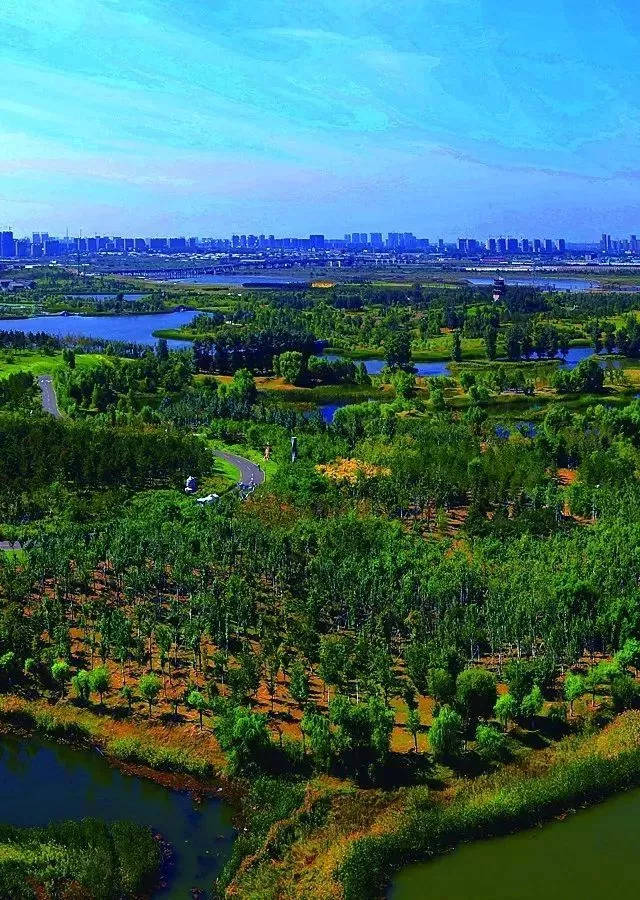 北湖國家溼地公園,以極近江南的風光美景,致敬北湖科技開發區的居民與