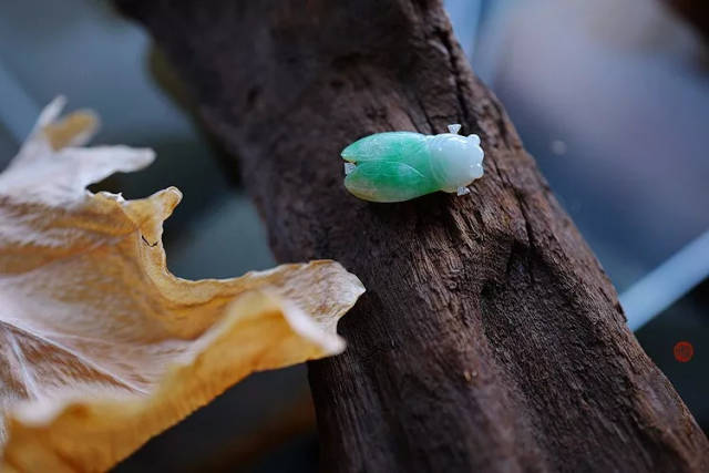 素年系列之《秘境隐莲》