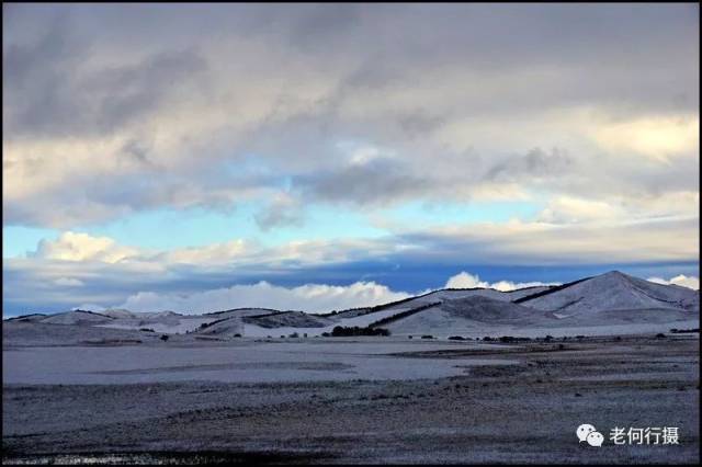 即便没有阳光的装饰,茫茫白雪中白桦树的金黄色,也是那么难得一见的