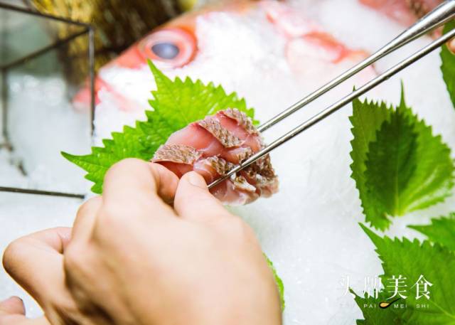 庖丁解牛般将鱼肉剥离,再将经过切片和摆盘后, 如艺术品般的紫鲷刺身