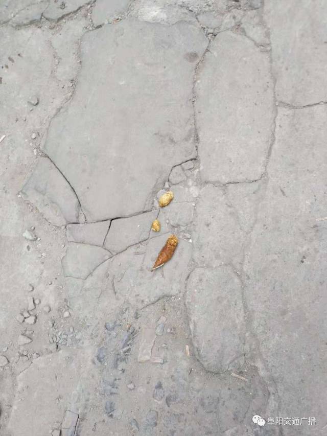 出门20米一路狗屎!