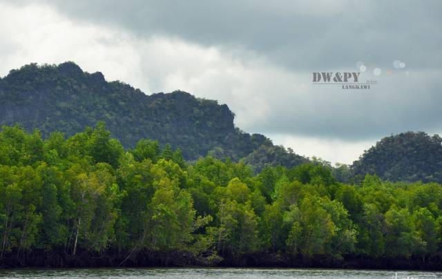 【阿亮说】开心麻花新电影取景地爆火,在这个