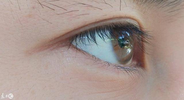 读者朋友我说的对吗?世界上有一种爱无人能比,那就是母亲的眼睛