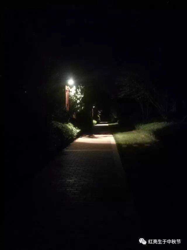 夜幕下的小区,静悄悄