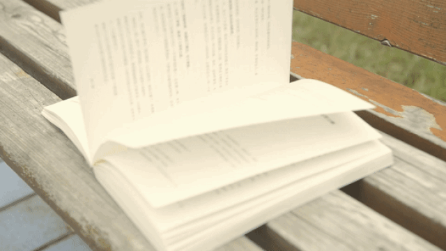 仿佛又再次浮现 - 1 - 学校花园旁的座椅 书本被风轻轻吹动的痕迹