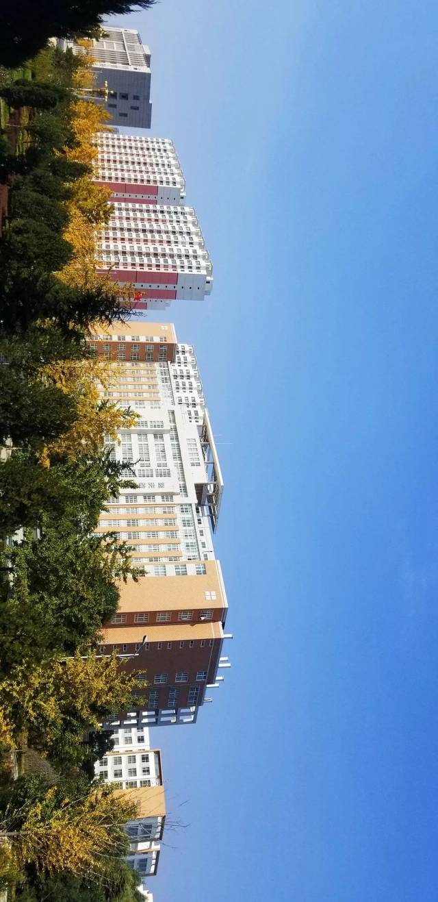 陇东学院风景图片图片