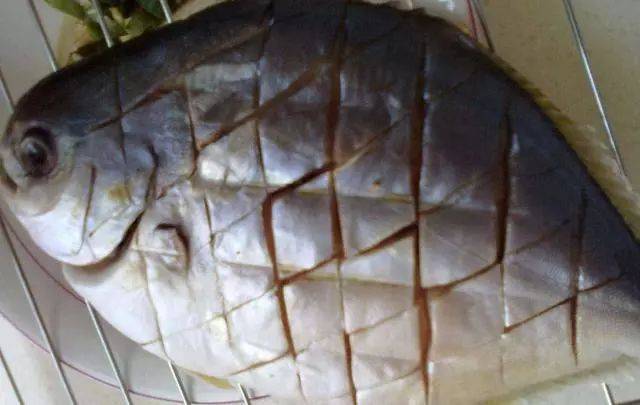 媳妇做的酱焖鱼,比水煮鱼红烧鱼都好吃,一整条我全吃完,真过瘾