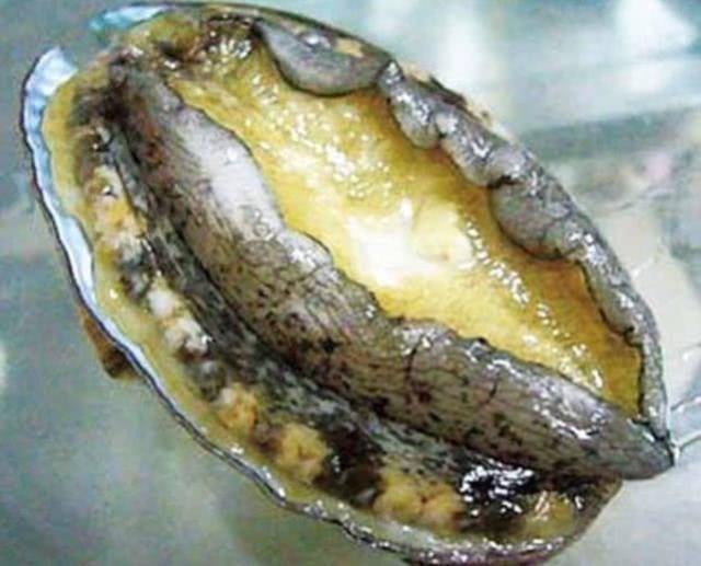 兄弟请吃鲍鱼,老板问要几头的,我说一头吧,结果结账时尴尬了_手机搜狐