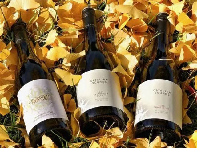 秋天的新西兰空气中都带着馥郁的酒香,在这里不到100人民币就能喝到