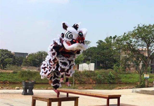 厉害!贵港这支龙狮队将走出"国门"