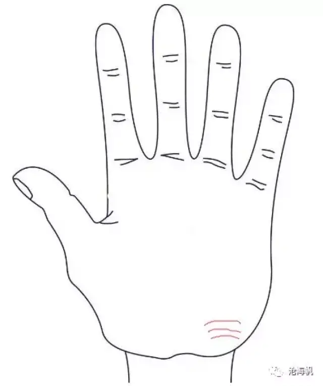 手相解读--5拜相纹_手机搜狐网