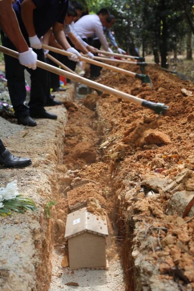 惠州举办第7次免费树葬,124具骨灰入土为安 回归自然