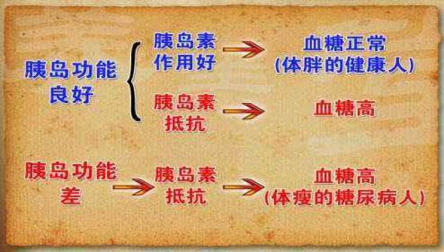 引发胰岛素抵抗的病因包括肥胖,遗传,疾病,肿瘤坏死因子增多等.