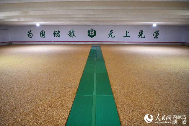 内蒙古中储粮"世界粮食日"媒体开放日活动在呼和浩特举行