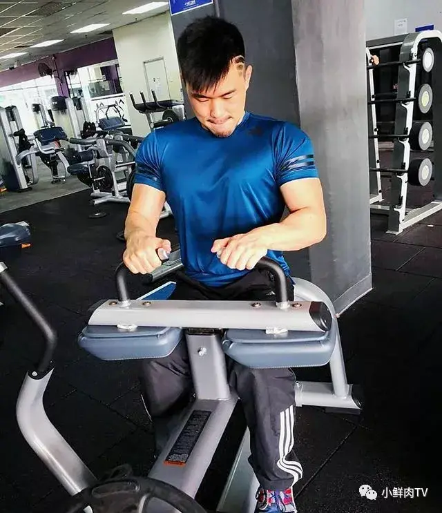 哈哈哈,这只筋肉壮熊让我xie恶地笑了!