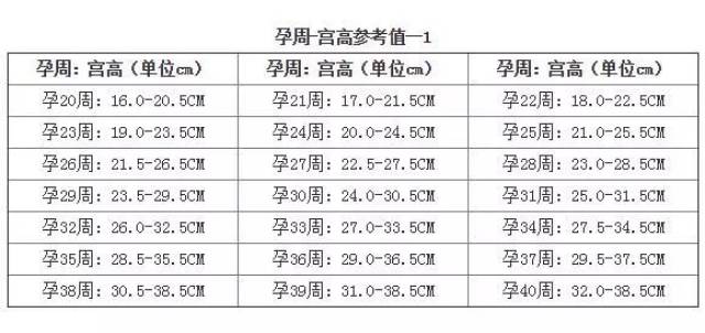 孕期腹围标准图图片