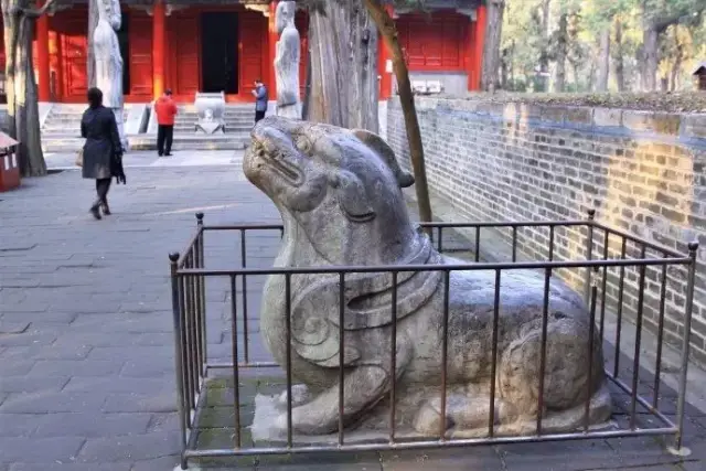 曲阜 | 游三孔：甪端？文豹？孔林这些石雕神兽的寓意你都知道吗？_搜狐网