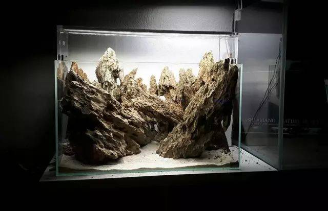 造景师sascha hoyer松皮石造景_手机搜狐网