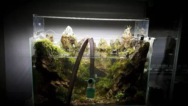 造景师sascha hoyer松皮石造景