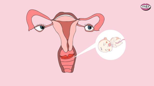 阴道微生态在女性不同生理阶段的特点_手机搜狐网