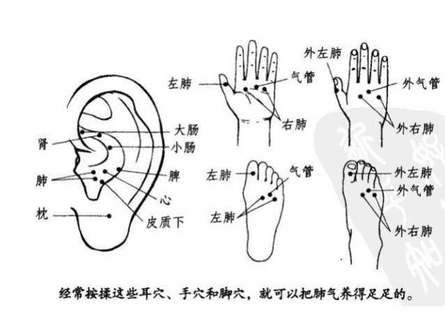 快速止咳按摩图图片