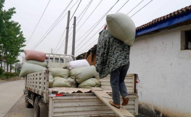 从青岛到烟台,从卖苦力的物流搬运到臭气熏天的小渔具厂,再到单调枯燥