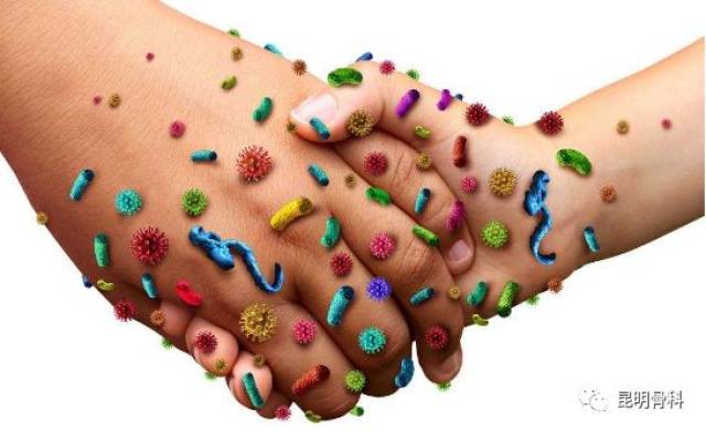 你身上细菌最多的地方是哪儿不是脚不是手是这5个地方