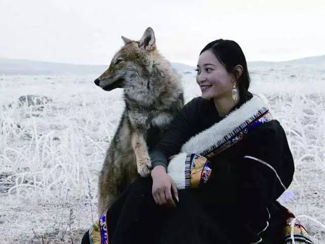 让我陪你重返狼群〡10月14日狼女作家李微漪现场讲述自己与狼同生共死