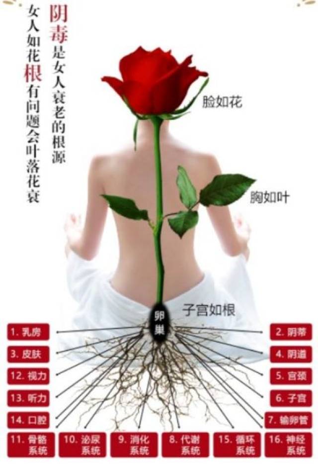 留住青春,暖宫去寒保养