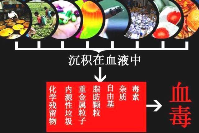 "血液残留毒素是导致各种疾病的罪魁祸首 随着生命科学和医疗科嫉哪