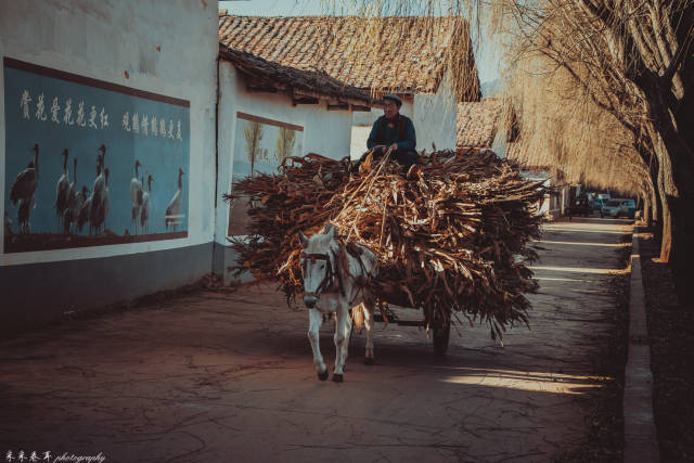 在冬日暖阳照耀下,老爷爷驾着马车运送各种物资,老奶奶在家忙着缝缝补