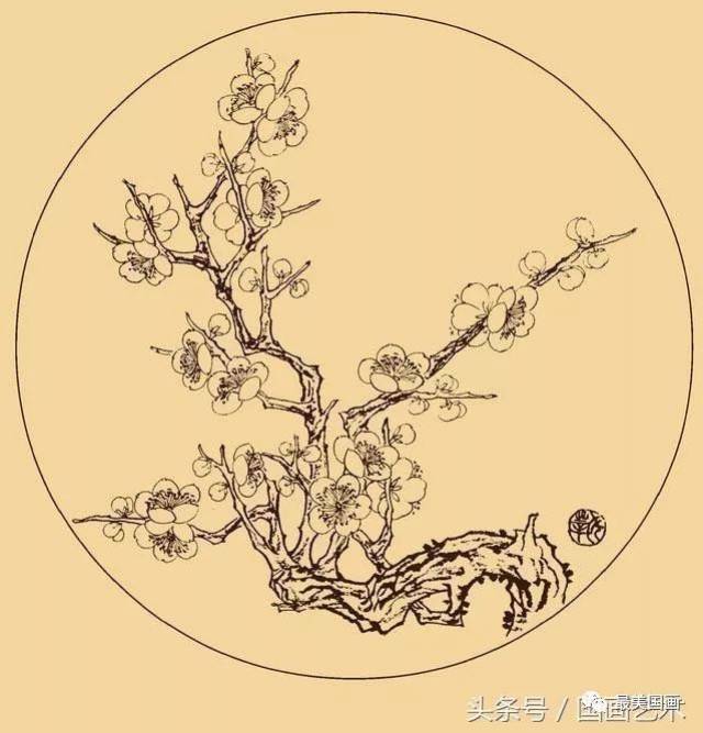 白描梅花绘画手稿,参照练笔用