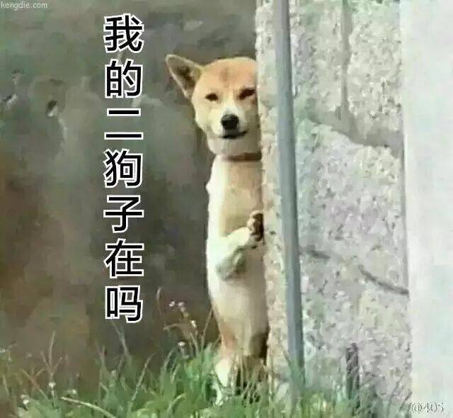 狗子你变了图片原图图片