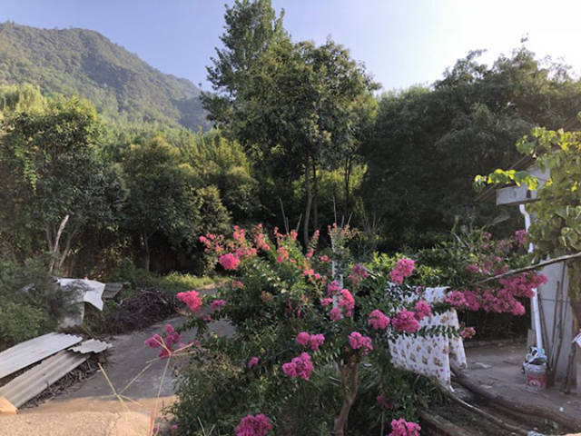 秦岭最大违建别墅被拆后:支亮别墅更名陈路别墅,陈路是谁?