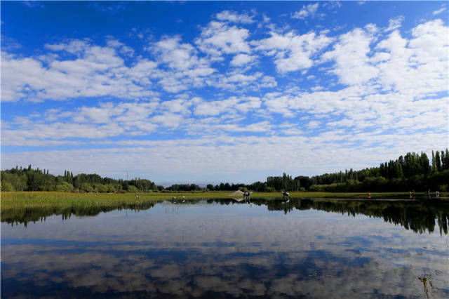康其湿地公园位于拜城县康其乡阿热勒村,距离县城只有10分钟的车程