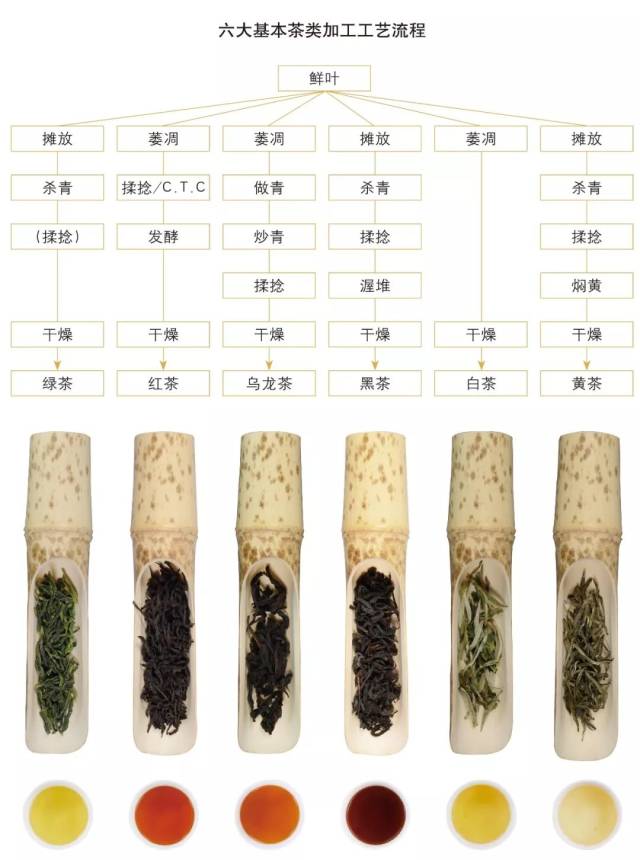 20种茶叶看图认茶 七种图片