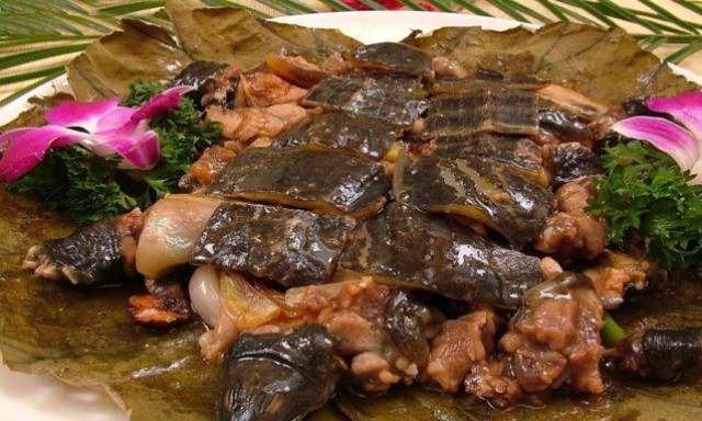 大厨分享8款甲鱼菜品~餐厅主打特色菜品必备!