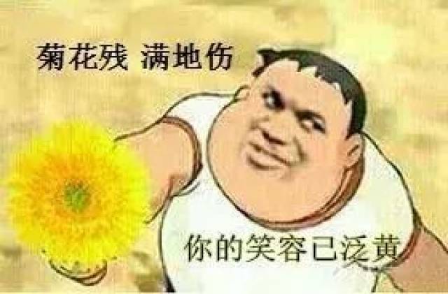 菊花残满腚伤图片图片