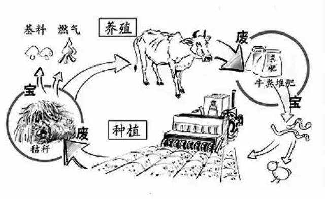 川崎广人的信任就是把循环农业做好,做成功,同时免费也要去实践