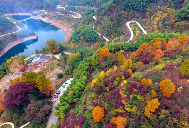 浙江最美四明山盤山公路馬上要火,一路楓林紅杉媲美喀納斯 -旅遊頻道