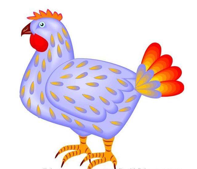 12生肖招财旺财妙招之生肖鸡