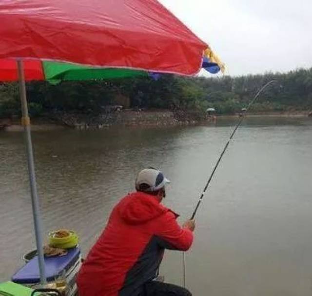 钓鱼者应该如何选择鱼竿呢？钓鱼竿的正确选择方法_手机搜狐网