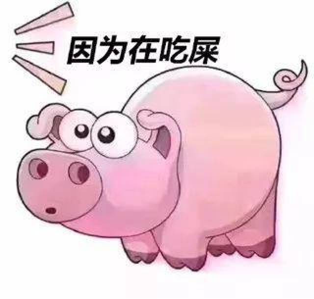 经典嚼屎表情图片