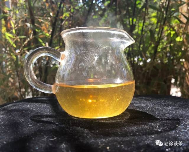 【老徐鉴茶】第169期:2018年易武蛮砖古树秋