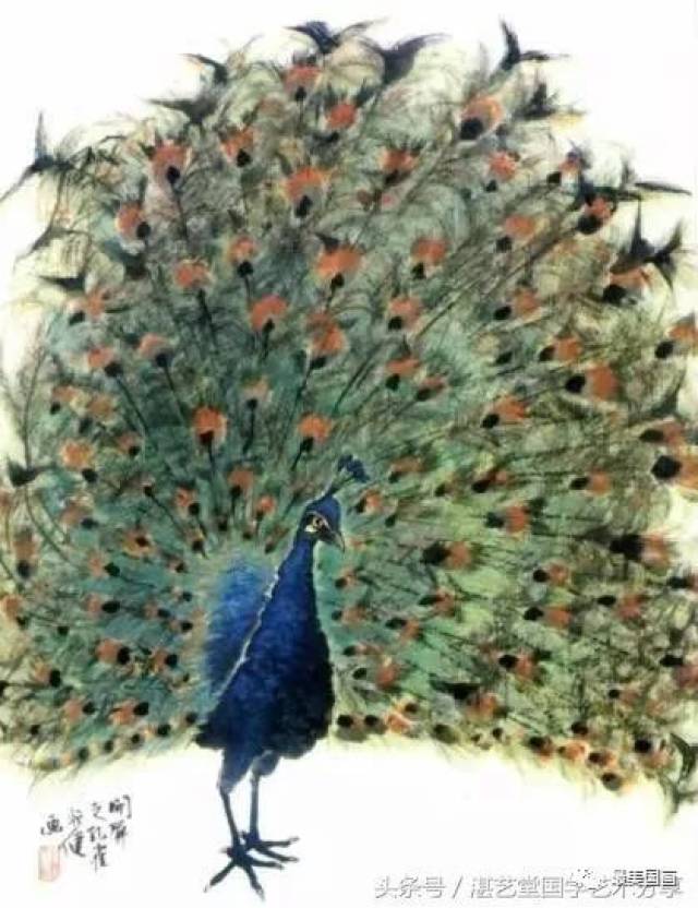 写意孔雀画法教程_搜狐网