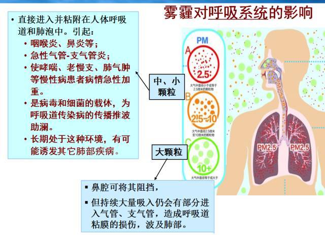 科普| 哈市第四医院呼吸科专家:有关雾霾天气的健康保健知识